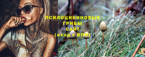 спиды Алексин
