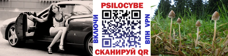 Галлюциногенные грибы Cubensis  Купить где  Юрюзань 